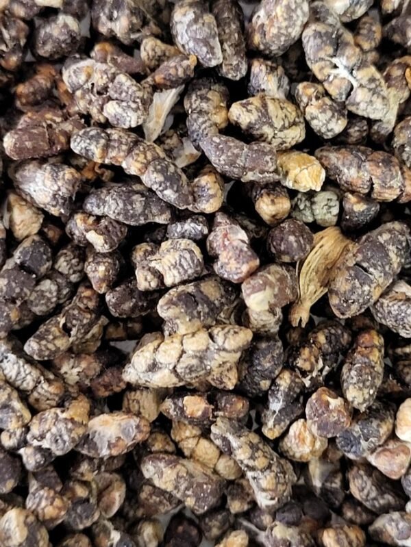 Cardamom Seed - इलायची के बीज - Image 3