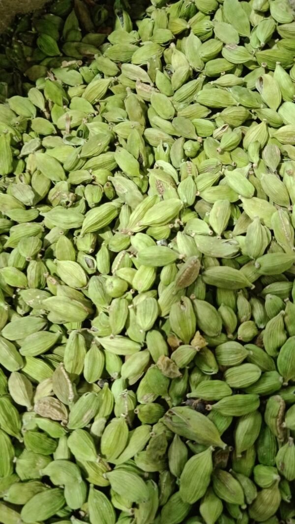 Cardamom (Bulk) - इलायची