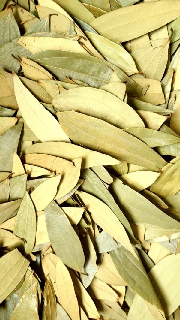 Bay Leaf / Tej Patta - तेज़ पत्ता - Image 2