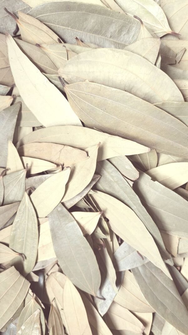 Bay Leaf / Tej Patta - तेज़ पत्ता - Image 3