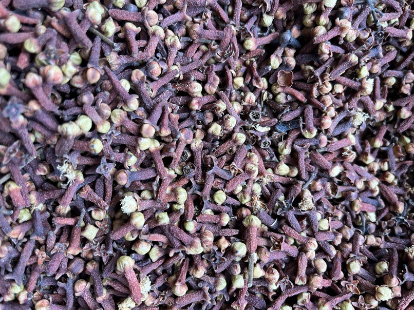 Clove (Kitchen Grade) - लौंग - Image 3
