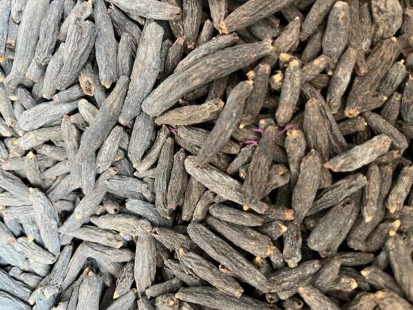 Thippili - Long Pepper - पीपर / पीपल - Image 3