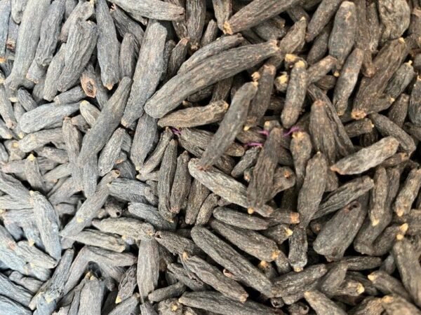 Thippili - Long Pepper - पीपर / पीपल - Image 3