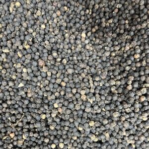 Black Pepper (Kitchen) - काली मिर्च