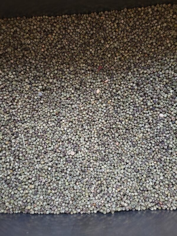 White Pepper - सफ़ेद मिर्च - Image 7