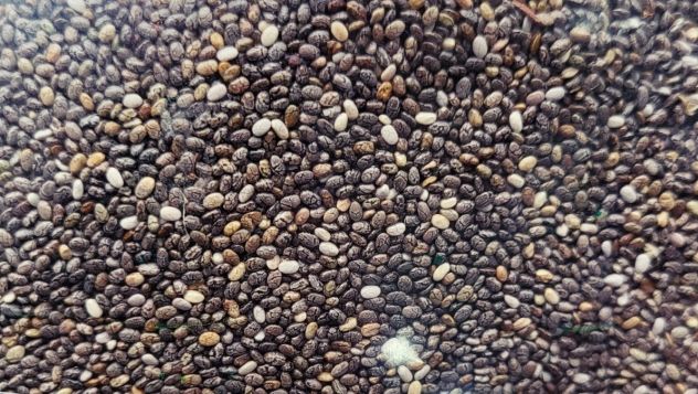 Chia Seed - चिया के बीज - सब्ज़ा के बीज - Image 2
