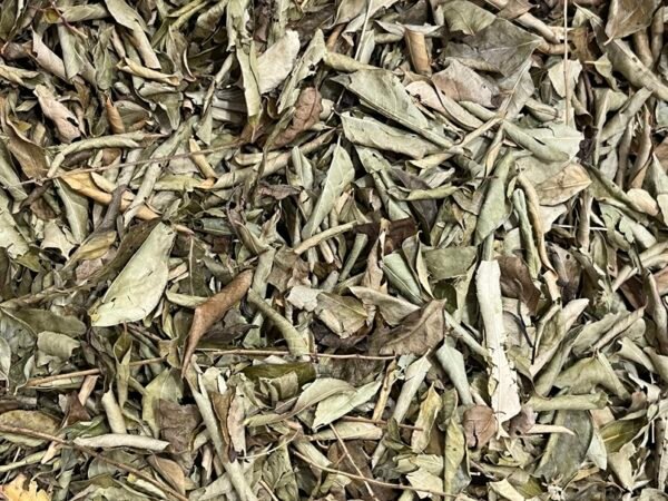 Curry Leaf Dried - करी पत्ता - Image 2