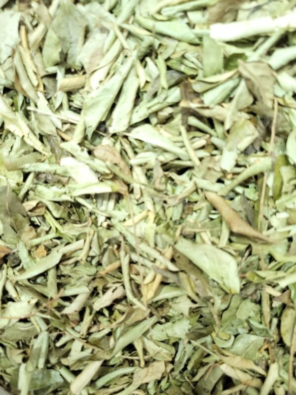 Curry Leaf Dried - करी पत्ता