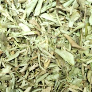 Curry Leaf Dried - करी पत्ता