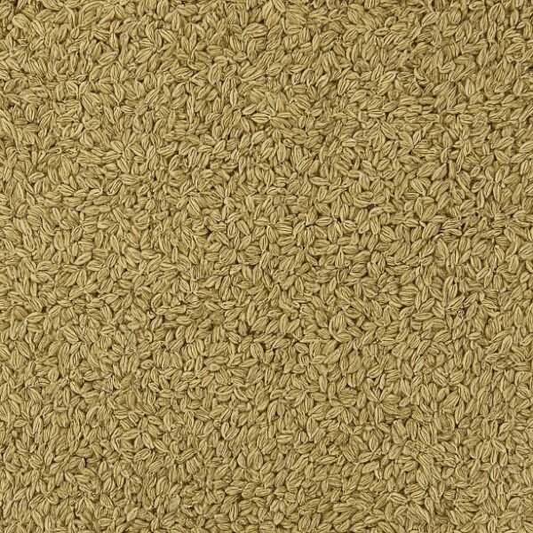 Carom Seeds (Ajwain / Ommam / अजवायन) 100Gms - Image 3