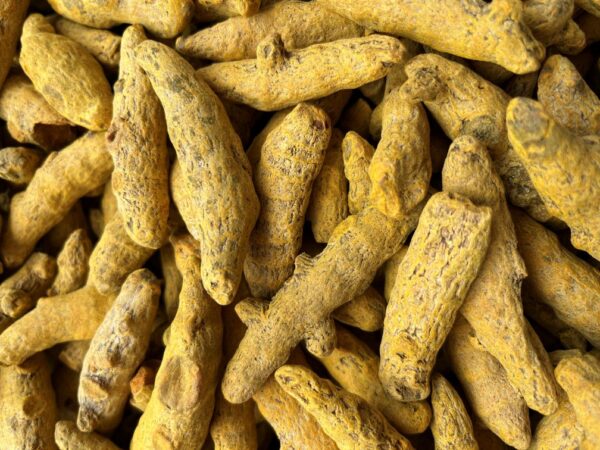 Turmeric Dried (Salem) - सूखी हल्दी - Image 2