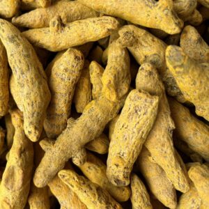 Turmeric Dried - सूखी हल्दी