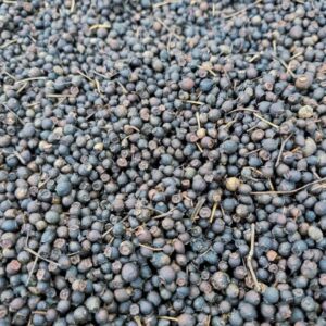 Allspice Seeds - ऑलस्पाइस बीज