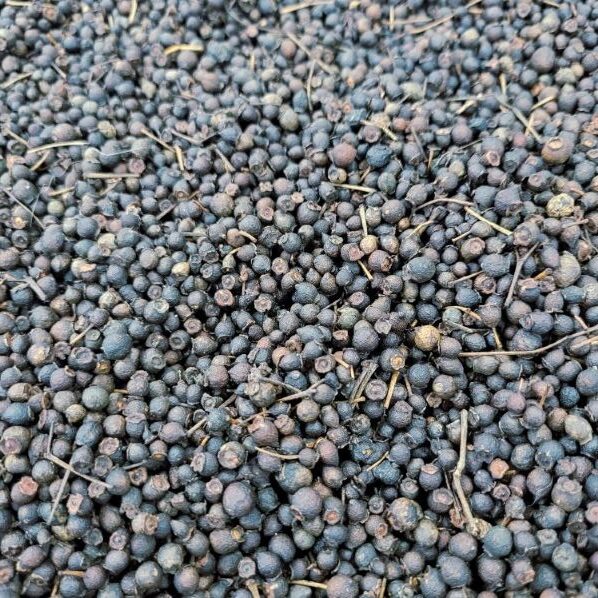 Allspice Seeds - ऑलस्पाइस बीज